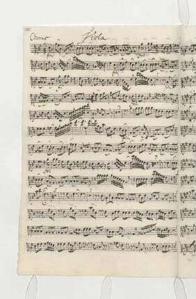 Viola (1740)