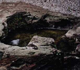 Daisen-in. Stein mit Buddhas Fußabdruck. Von Felsen umrandetes stehendes Gewässer