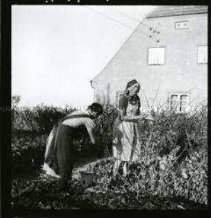 Arbeitsmaid des Reichsarbeitsdienstes bei der Gartenarbeit