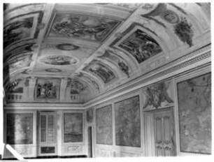 Villa Chigi & Castello Chigi & Villa Sacchetti, Salone & Galleria delle carte geografiche
