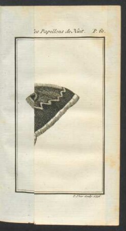 Tafel: Le dessous du Papillon-pan.