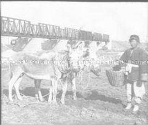 Glasdia von der Schantung-Eisenbahn; im Vordergrund ein Bauer mit seinen Huftieren.