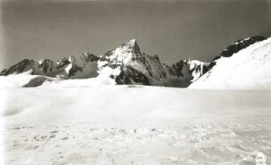 Berner Alpen. Grünegghorn (3850 m) vom Walliser Fiescherfirn