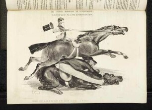 Les Petits Bonheurs de l'équitation
