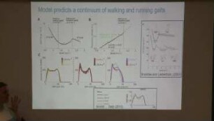Fast and physiologically realistic predictive simulations of healthy and pathological human movement