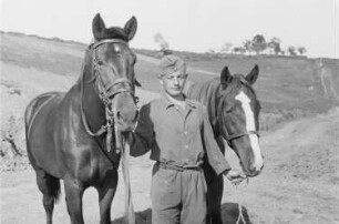 Zweiter Weltkrieg. Frontbilder. Sowjetunion. Angehöriger der deutschen Wehrmacht mit zwei Reitpferden