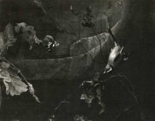Stilleben mit Vogelnest : Heem, Jan Davidsz de. Stilleben mit Vogelnest. Öl auf Leinwand; 89 x 72 cm. 17. Jh.. Detail: Stieglitz und Falter. Dresden: Gemäldegalerie Alte Meister 1261
