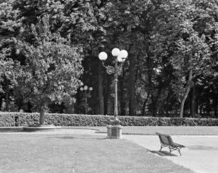 Parco delle Cascine