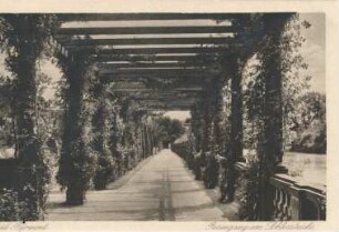 Fürstenweg (Rosengang) im Kurpark
