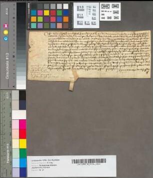 Litterae executoriales contra Henricum Becker alias Wichmarius wegen jährlicher 3 ß [Schillinge] pro Rectore Altaris S. S. Nicolai et Margarethae.