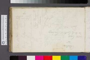 Skizzen zweier Bilder mit Raubvoge und unterschiedlich ausgerichtete Schrift