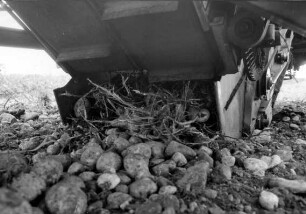Aufnahmevorrichtung zweigeteiltes Verfahren Ziegler