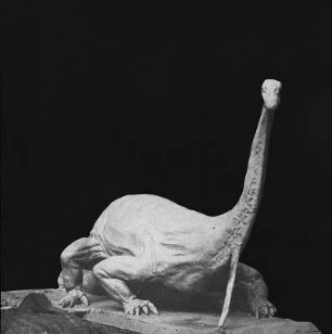 Urzeitliche Tiere. Saurier. Gipsmodell eines Diplodocus. Erster Fund 1878