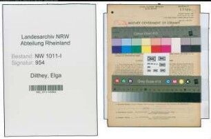 Entnazifizierung Elga Dilthey , geb. 23.03.1919 (Geschaeftsfuehrer)