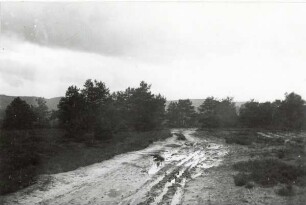 Weg zum Hiddeser Bent, Hochmoor; Hiddesen. aus der Sammlung Pecher