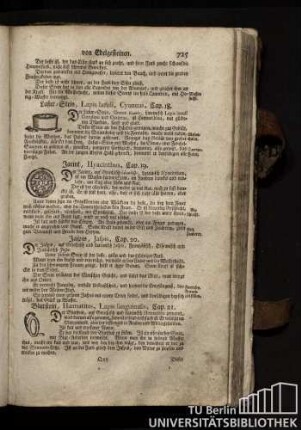 Cap. 21. Blutstein, Haematites, Lapis sanguinalis.
