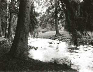 Osterzgebirge. Bobritzschtal. Grabentour, Grabenweg an der Bobritzsch. Blick flussauf