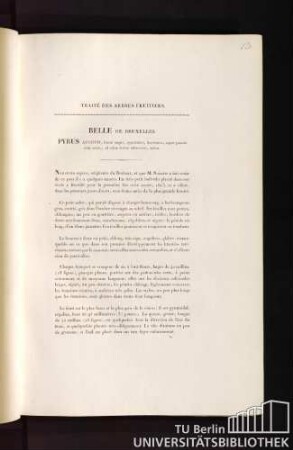 Traité des arbres fruitiers. Belle de bruxelles. Pyrus augusti, fructu magno, pyramidato, flavescente, argutè punctis rufis motato, ad solem leviter rubescente, aestivo.