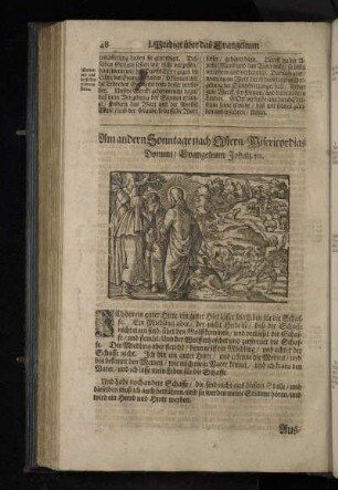 Am andern Sonntage nach Ostern/Misericordias Domini/Evangelium Johan.10.
