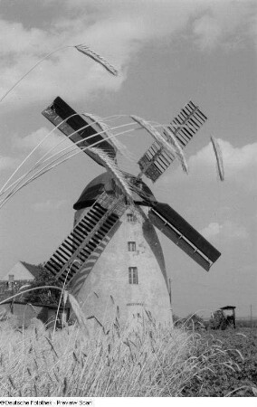 Blick auf eine Windmühle mit Ähren im Vordergrund