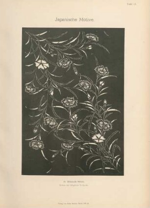 Tafel 15. 18. Blühende Nelken