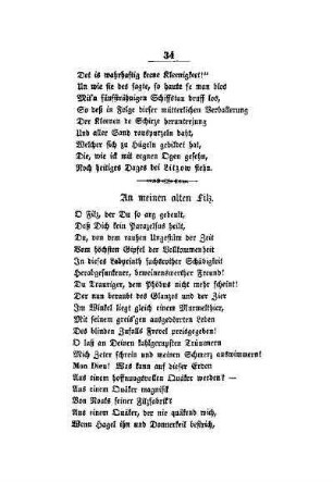 An meinen alten Filz