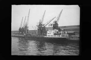 Dinklage (1957), Frachtschiff, Krohn, Lübeck, Bau-Nr. 588