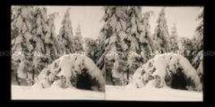 Wanderer in verschneiter Landschaft, Zittauer Gebirge