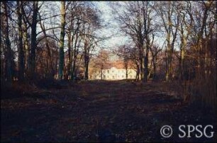 Potsdam, Park Sacrow, Rodung in der Trasse der ehemaligen Kastanienallee in der Schlossachse.