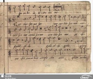 Burck, Joachim a: Certus sermo et dignus