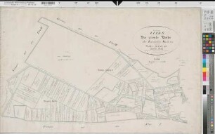 Raesfeld (Raesfeld), Teilung der Raesfelder Mark, Große Heide Reinkarte Flur 6