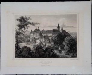 Altenburg. Das Schloss