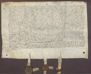 Erbhuldigungsrevers der in das Amt Baden gehörigen Dörfer Oos, Ebersteinburg und Balg gegen Markgraf Philipp I. von Baden als dessen Leibeigene