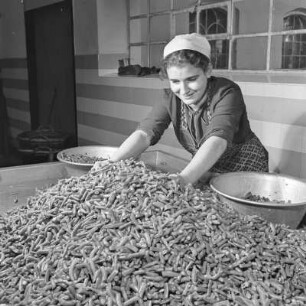 Frau beim Aufteilen von Bohnen