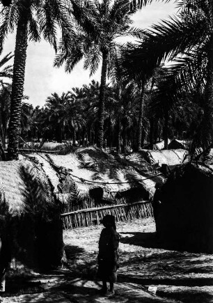 Siedlung im Irak (Deutsche Indien-Expedition 1926/1929 - Rückreise: Irak-Syrien-Libanon-Türkei)