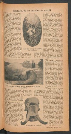 Historia de un cazador de marfil