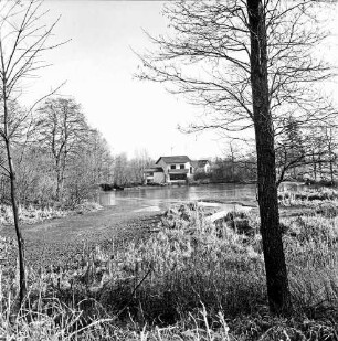 Schulenburg: Mühlenteich: vorn Bäume: im Hintergrund Wohnhaus [ehemaliges Mühlengebäude]