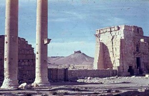 Palmyra W-Mauer, Bel-T., ar. Bant [?]