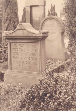 Friedhof. Jüdische Grabsteine