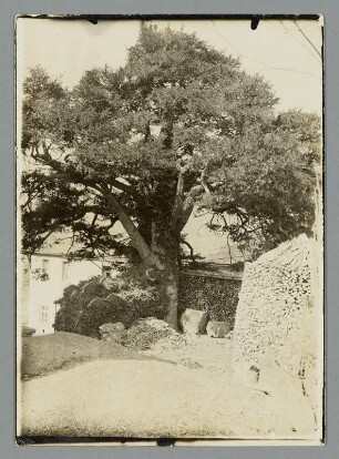Foto, Drebach