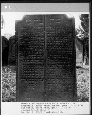 Grabstein von Aaron Pfeddersheim (gestorben 1791.12.25) und Sarle (gestorben 1793.12.01)