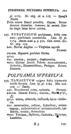 Polygamia Superflua