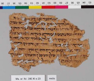 20: Mishneh Torah : Fragment