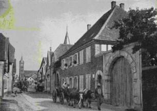 Langgasse: Straßenbild