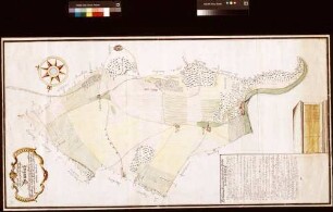 Grundzeichnung über das Kloster Bronnbach und desselben inserierten Höfen angehörige Markung, welche nach deren Zirkumferenz gemessen und in diese Mappam gebracht worden anno 1747 (Inselkarte)