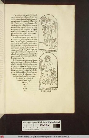 2 Abbildungen: 1. [Nymphe mit Füllhorn und Cupido] FLAVAE MESSI.S. 2. [Personifikation des Herbstes] MVSTVLENTO AV- TUMNO .S.