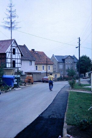 Dorfstraße mit Bauernhäusern, links Maibaum, rechts hinten Dorfplatz