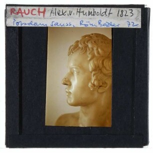 Rauch, Büste Alexander von Humboldt