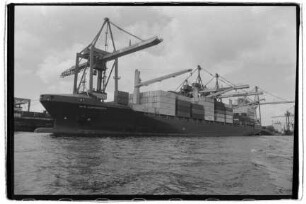 NYK Esperanza