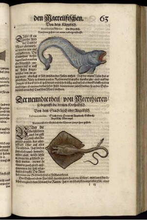 Der neundte theil von Meerthieren so begreifft die breiten Krospelfisch.